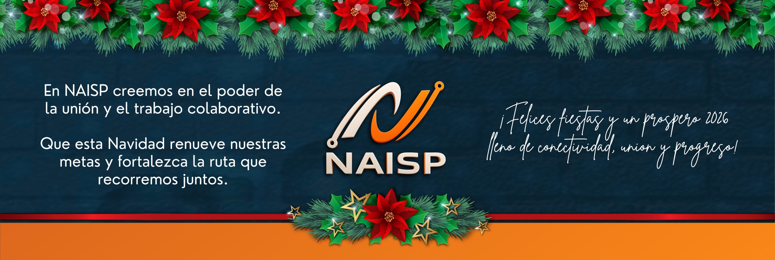 BANNER FELICES FIESTAS